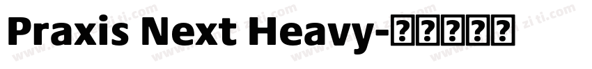 Praxis Next Heavy字体转换
